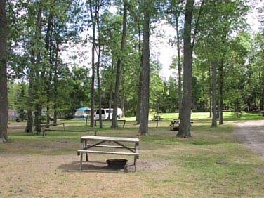 חניון ליד חוף ואסאגה