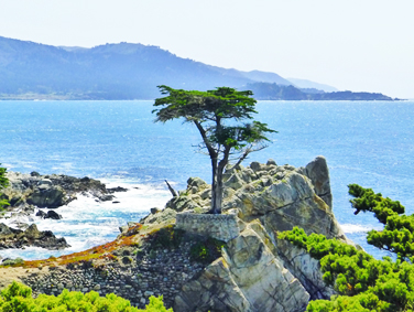 דרך 17 המייל