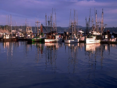 חניון בין מונטריי לסנטה קרוז