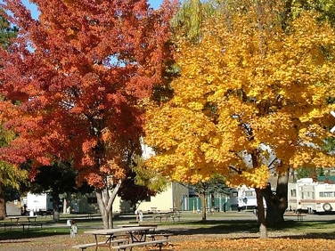 חניון בדרך לסיאטל