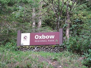 חניון בפארק אוקבו