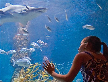 האקווריום של אוסטרליה המערבית