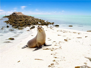 איי אברולהוס