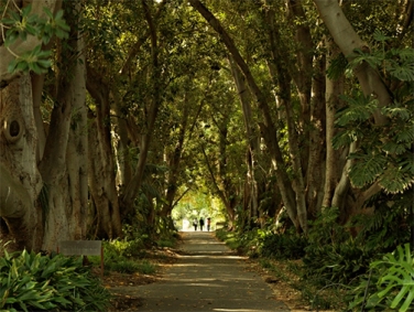 הגנים הבוטניים