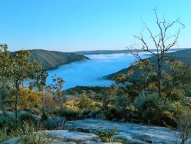 פארק אבון וואלי