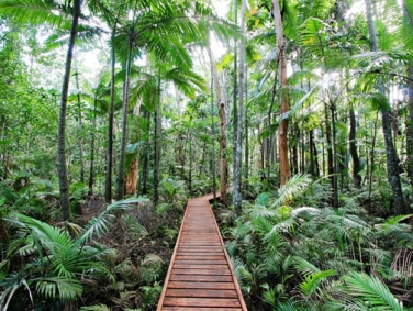 הגנים הבוטניים