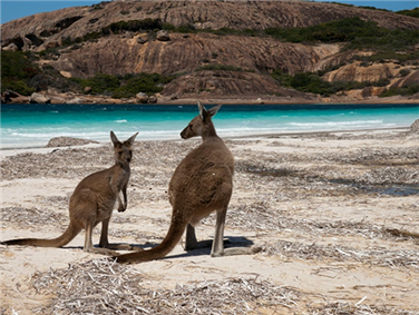 פארק קייפ לה גראנד