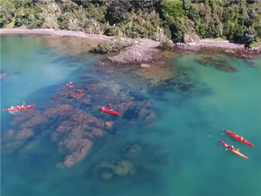 שייט קייאקים