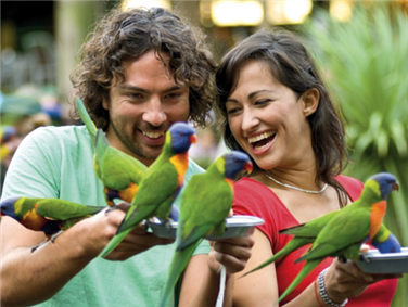 שמורת הבר קורומבין