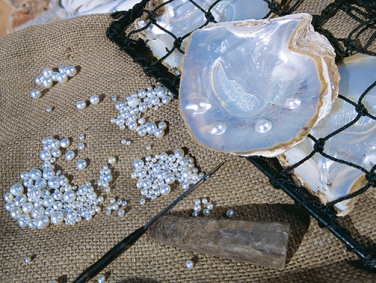 חוות הפנינים