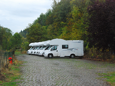 משפחת ליבנה שקד