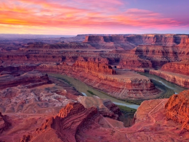 פארק הסוס המת
