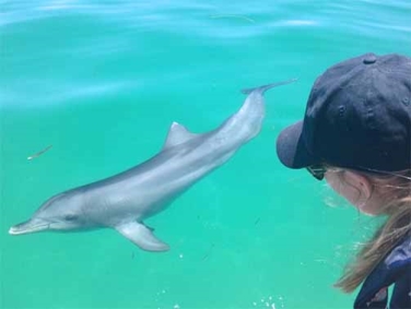 שמורת הדולפינים