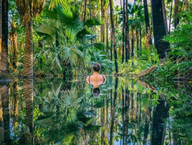 שמורת הבר אל קווסטרו