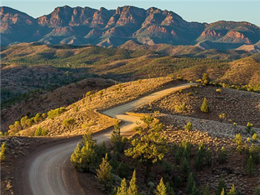 פלינדרס ריינג'