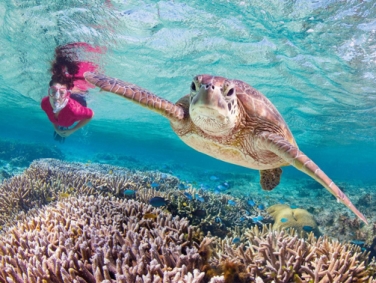 שונית המחסום הגדולה