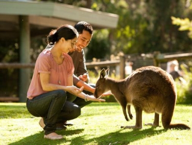 שמורת הילסוויל