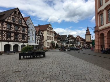 טיול זוגות בקרוואנים ליער השחור