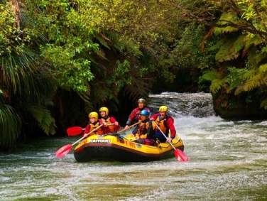 פעילות רפטינג