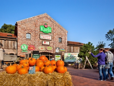 מתחם שוק איכרים ופעילויות