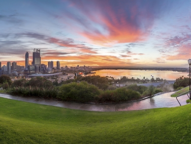 פארק קינגס והגנים הבוטניים