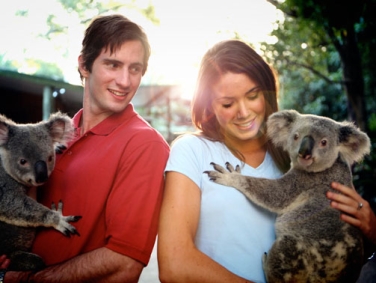 מרכז הקואלות לון פיין