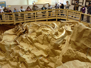 האתר הארכיאולוגי לשרידי ממותות