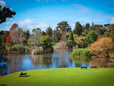 הגנים הבוטניים