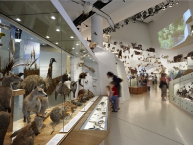 מוזיאון מלבורן