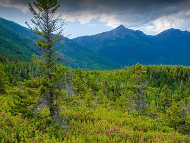 פארק הר וושינגטון