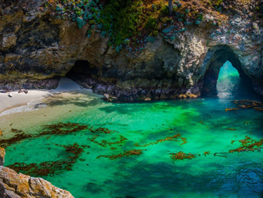 פוינט לובוס