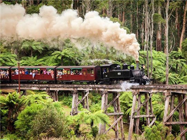 רכבת פאפינג בילי