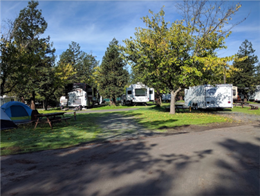 חניון בצפון סאן פרנסיסקו