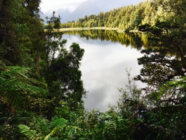 שמורת ראוקורי