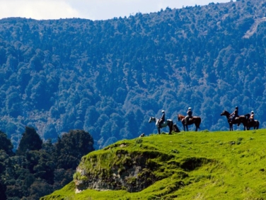 רכיבת סוסים