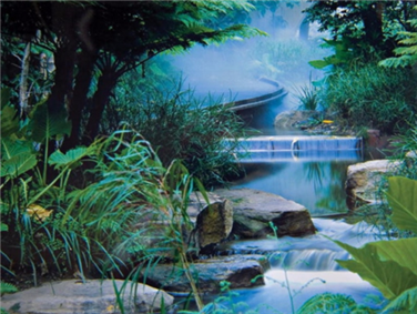 פארק רומא סטריט