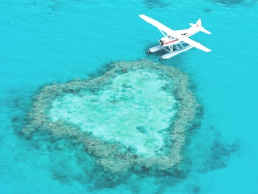טיסה נופית מעל השונית