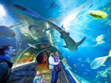 עולם הים בקונסטנץ