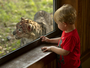 גן החיות בסו פולס