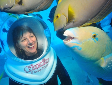 הליכה תת ימית באי גרין