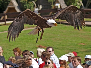 פארק הציפורים והקופים