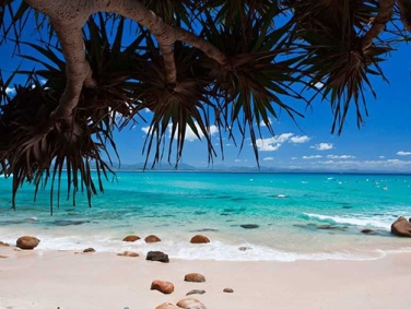 חוף וואטגוס