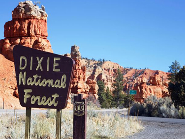 חניון צפונית לברייס