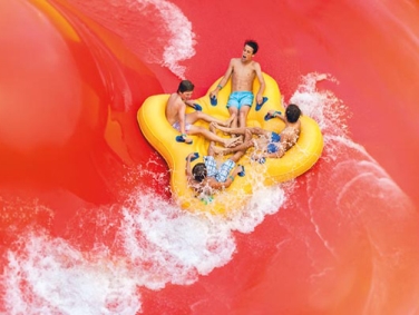 ווט אנ' ווילד סידני