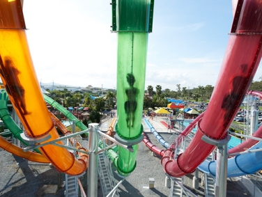 פארק המים ווט אנ' ווילד