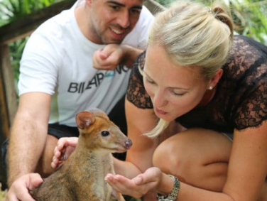 מרכז חיי הבר