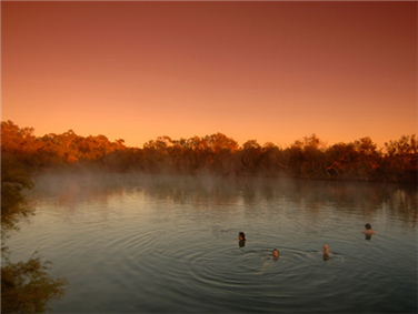 פארק וויטז'ירה