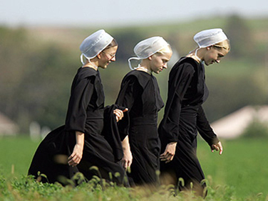 סיורי איימיש בהרמוני