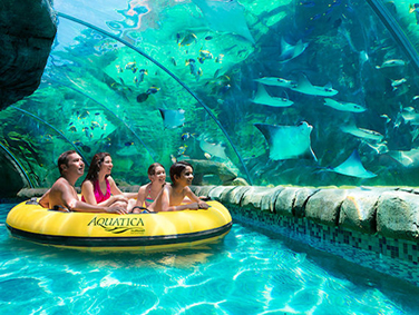 פארק המים אקווטיקה