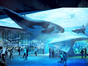 המוזיאון האוסטרלי